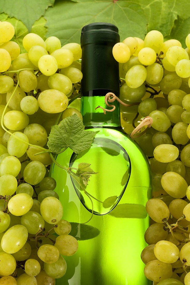 A bottle of white wine surrounded by grapes