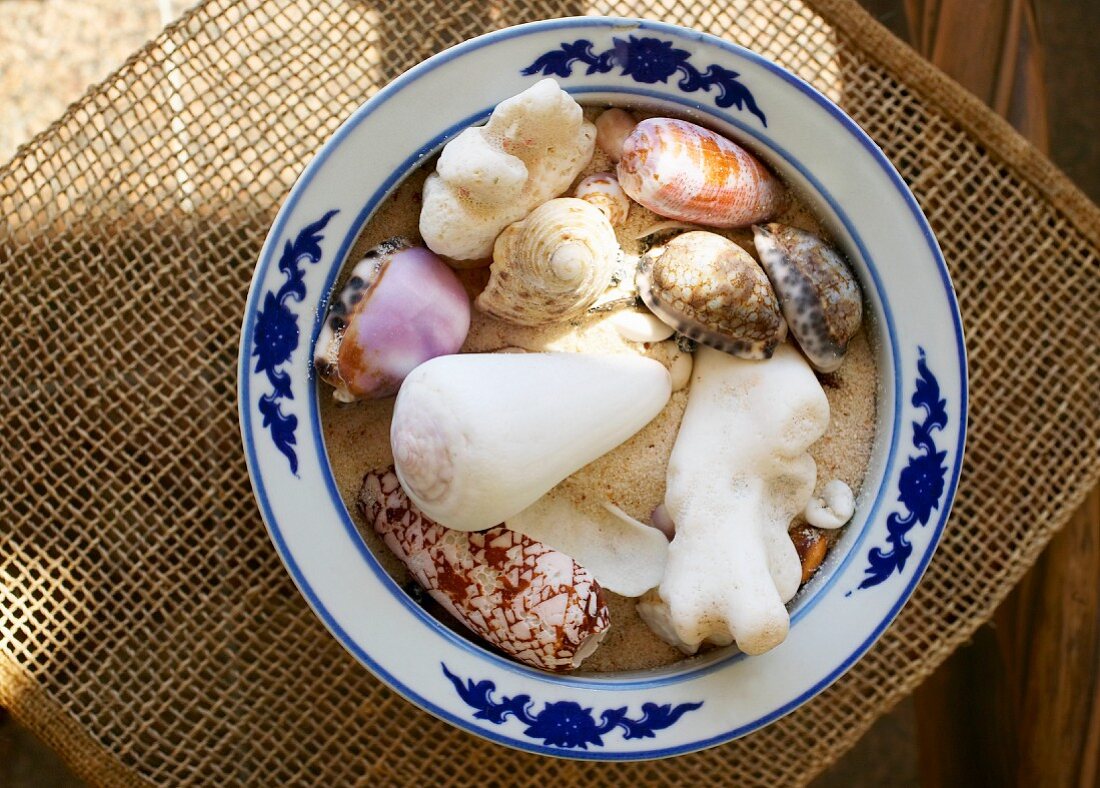 Teller mit Sand und Muscheln (Seychellen)