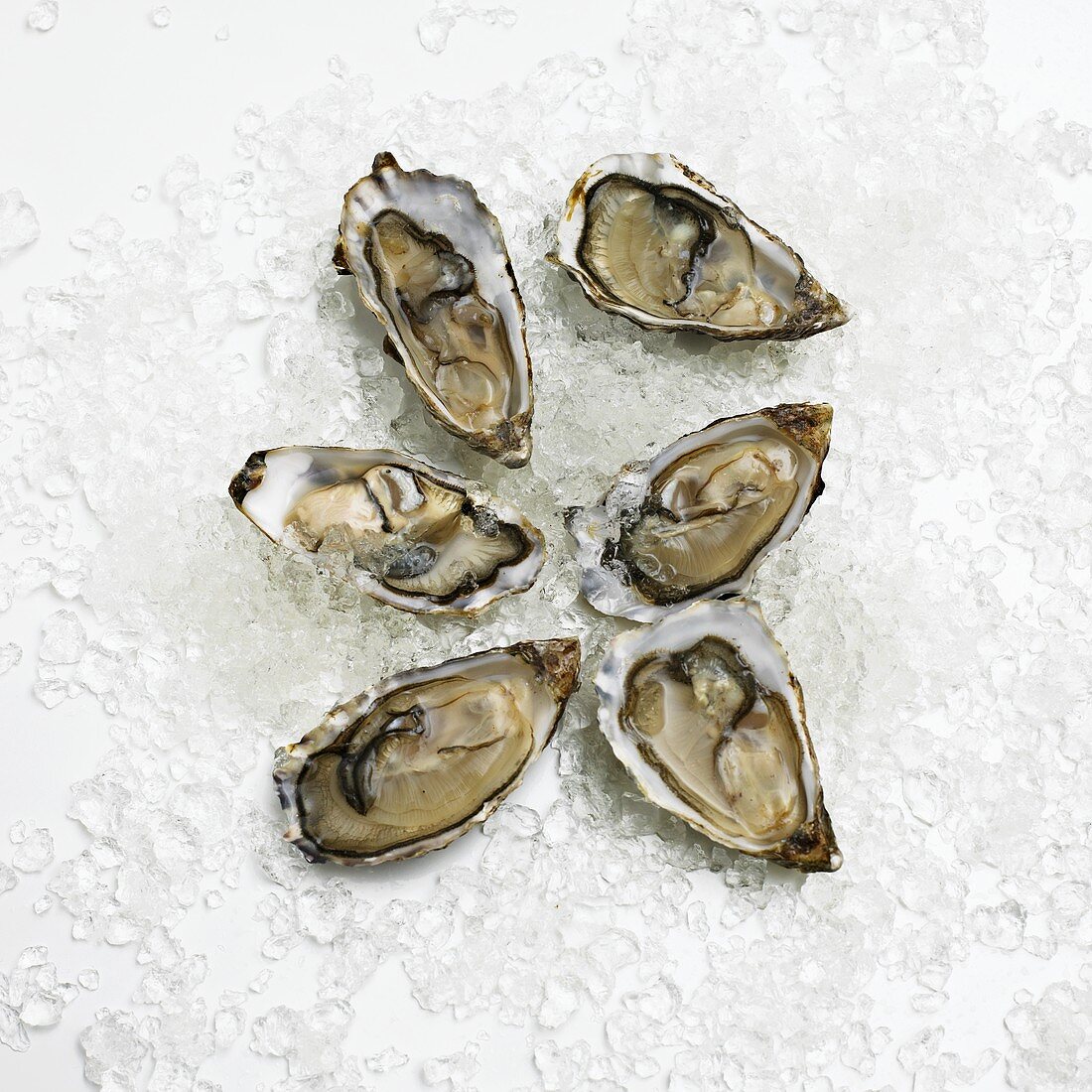 Opened oysters on crushed ice