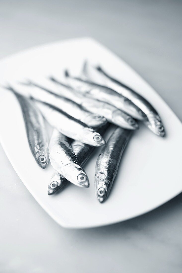 Several anchovies