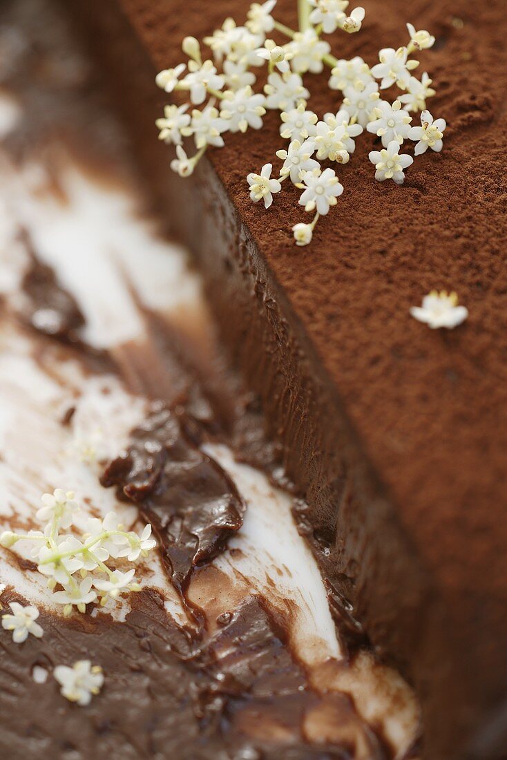 Elderflowers on chocolate cake (detail)