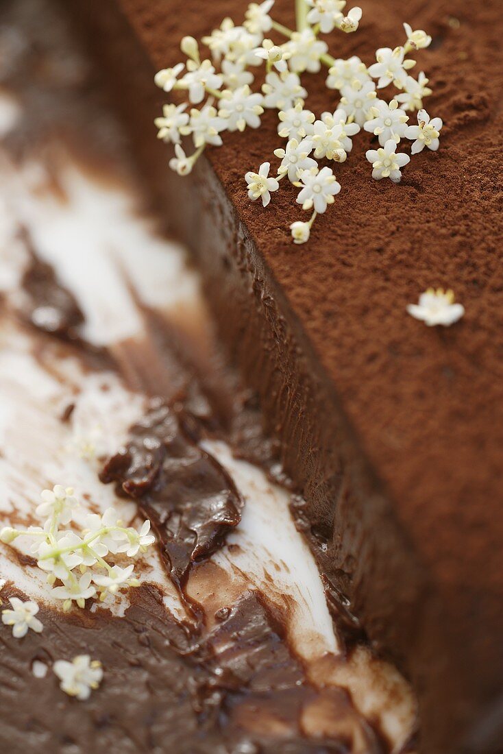 Holunderblüten auf Schokokuchen (Ausschnitt)