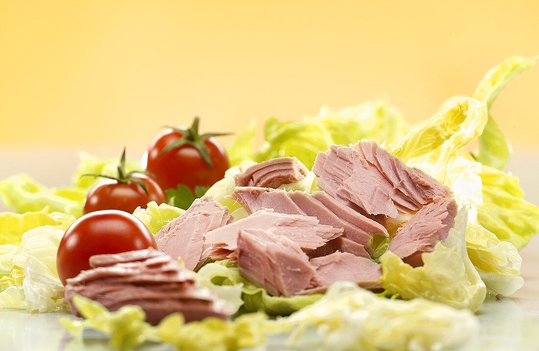 Tuna and tomatoes on lettuce leaves