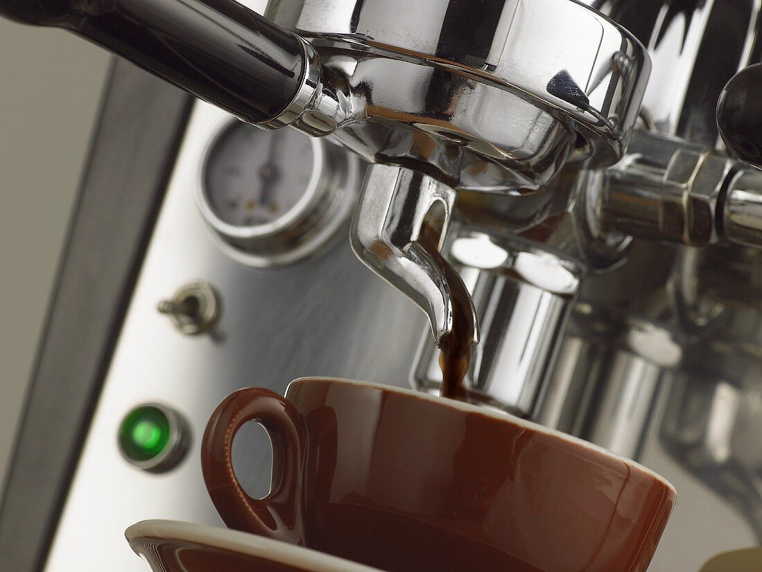 Espresso machine in action: filter holder and cup