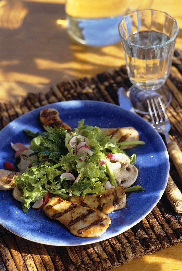 Grilled chicken breast on summer salad