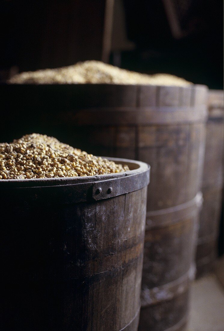 Barrels of grain