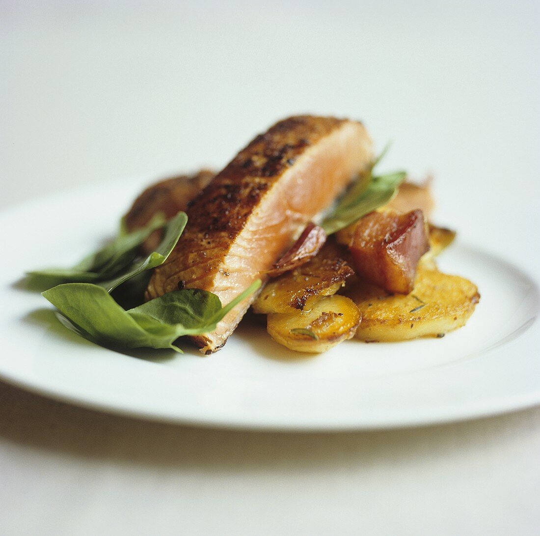 Grilled salmon fillet on fried potatoes