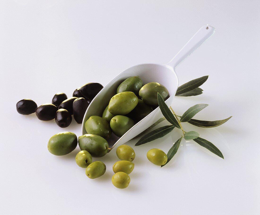 Green and black olives, olive sprig and scoop