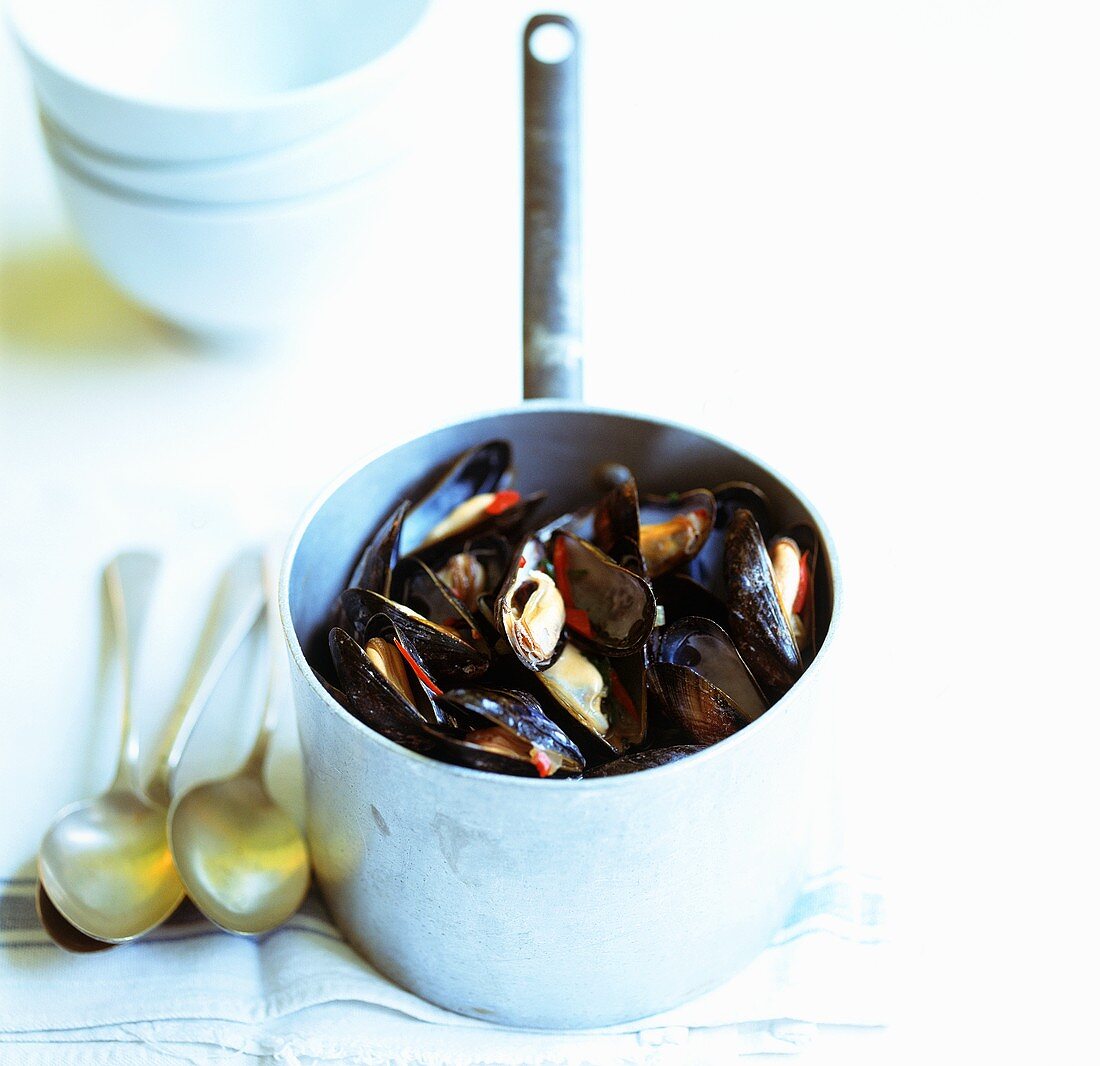 Mussels in a saucepan