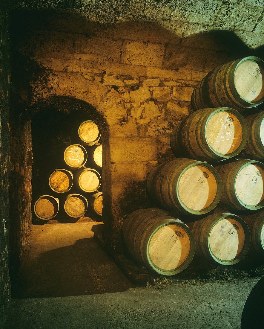 Fasskeller des Guts Marques de Riscal, Elciego, Rioja, Spanien