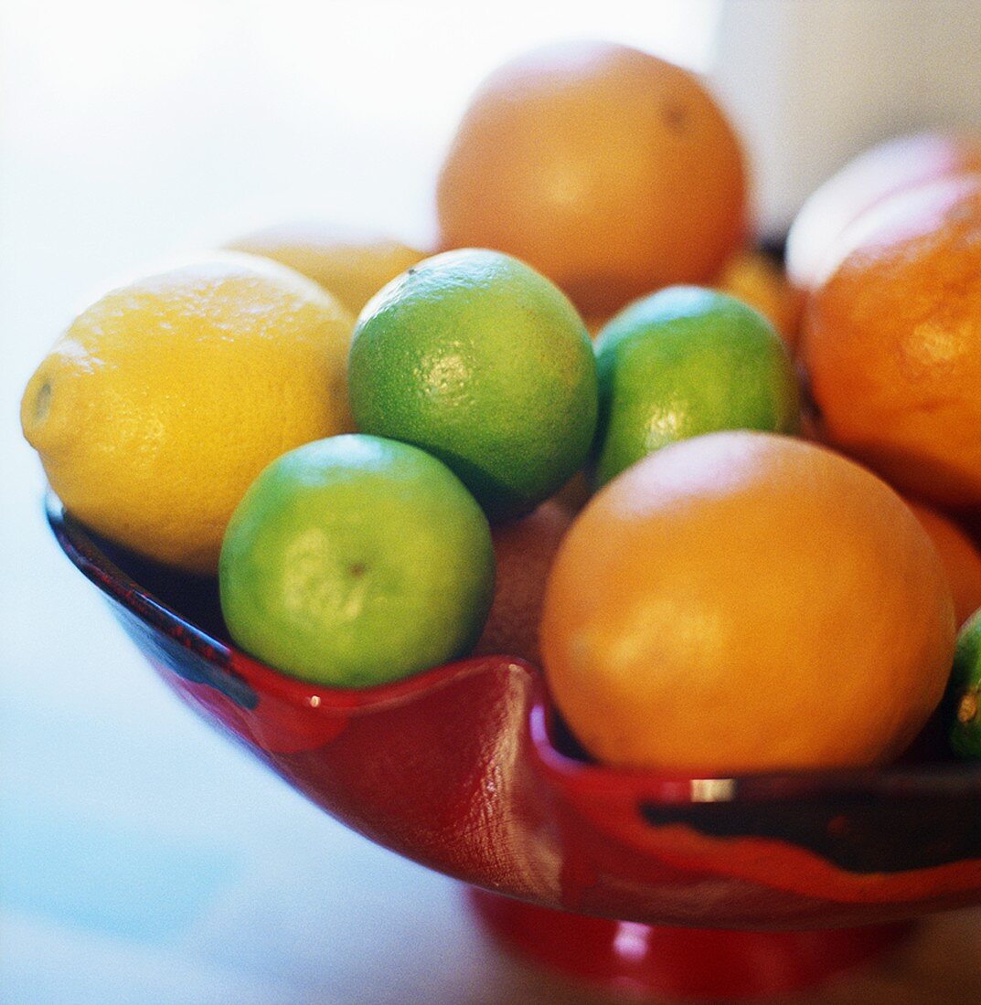 Citrus fruit in a decorative fruit bowl