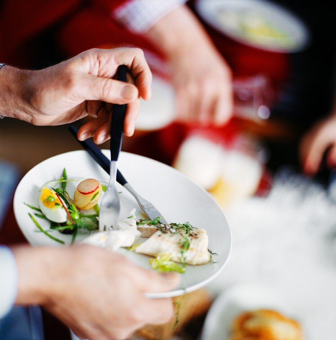 Hände halten Teller mit Zanderfilet und Partysalat