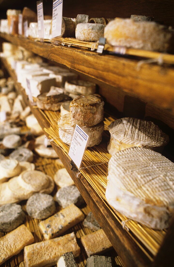 Käsesorten in Londoner Käsegeschäft 'La Fromagerie' (UK)