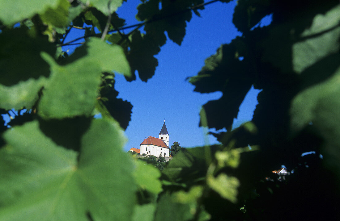The wine village of St. Anna am Aigen, Styria, Austria