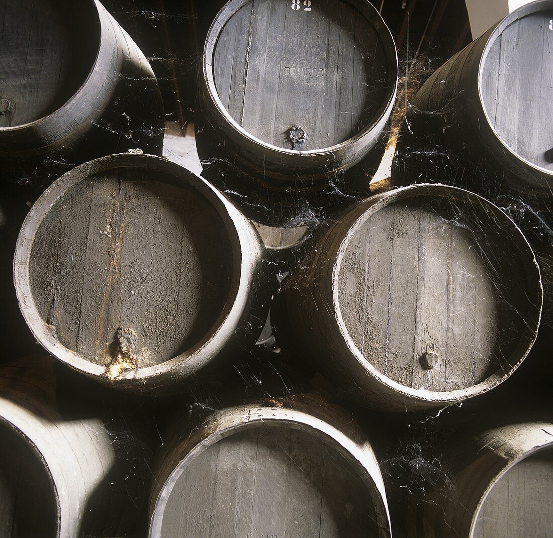 Weinfässer, Bodega Domecq, Jerez, Andalusien, Spanien