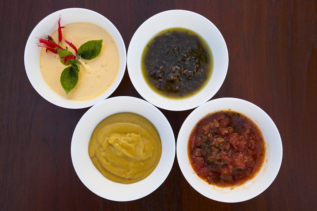 Mangosenf, Chilli-Aioli, Tomatensalsa, Oliven-Basilikum-Sauce