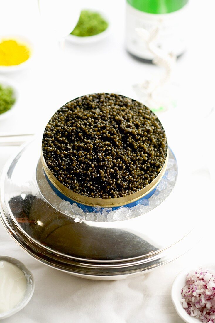 Black caviar in opened tin