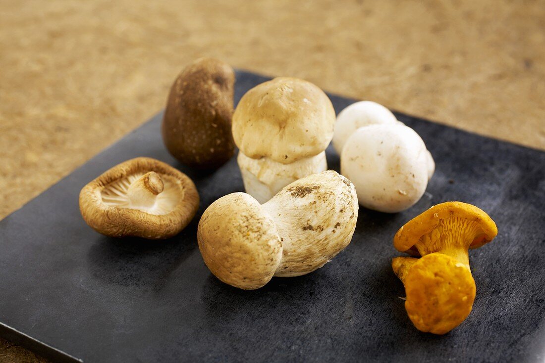 Shiitake mushrooms, ceps, button mushrooms, chanterelles