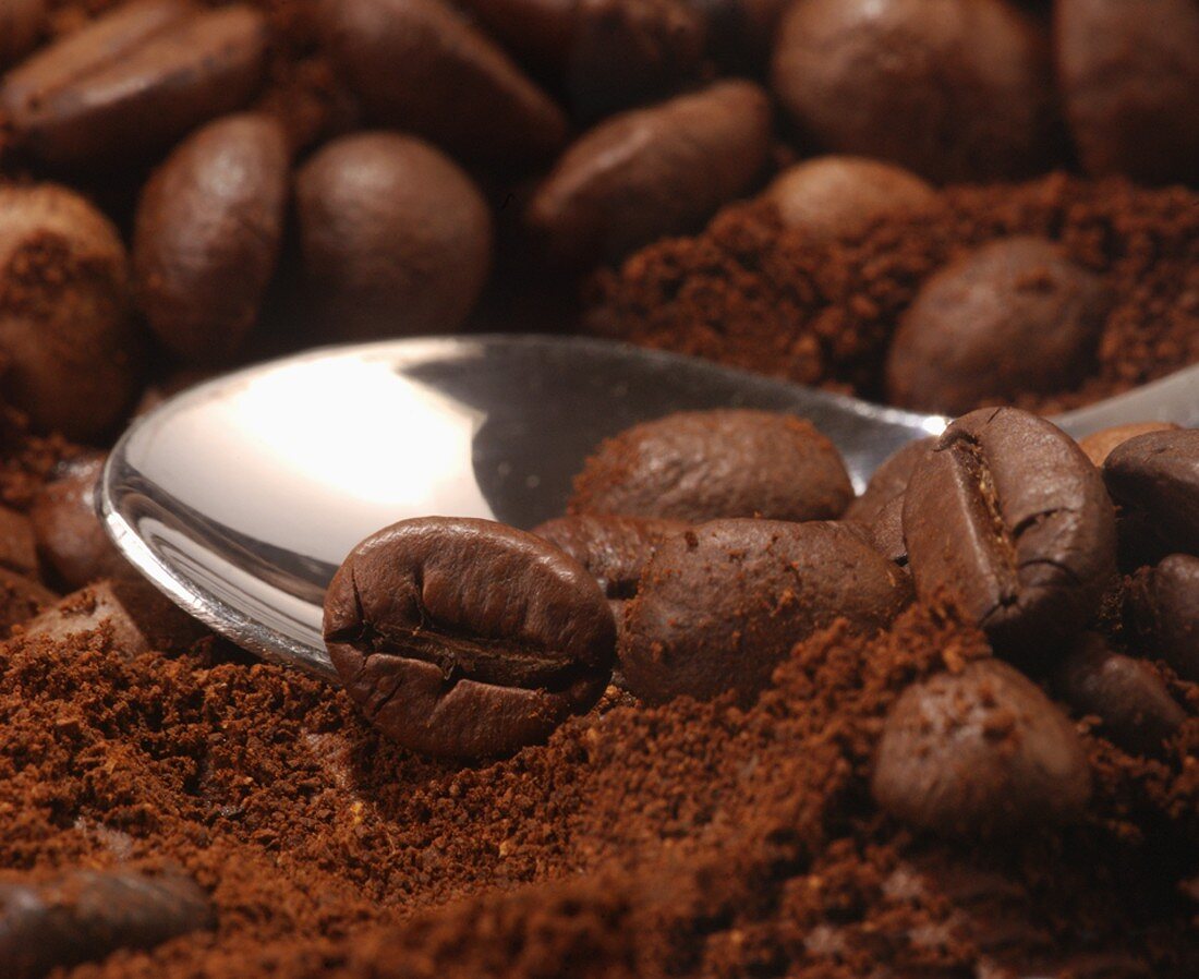 Coffee spoon, ground coffee and coffee beans