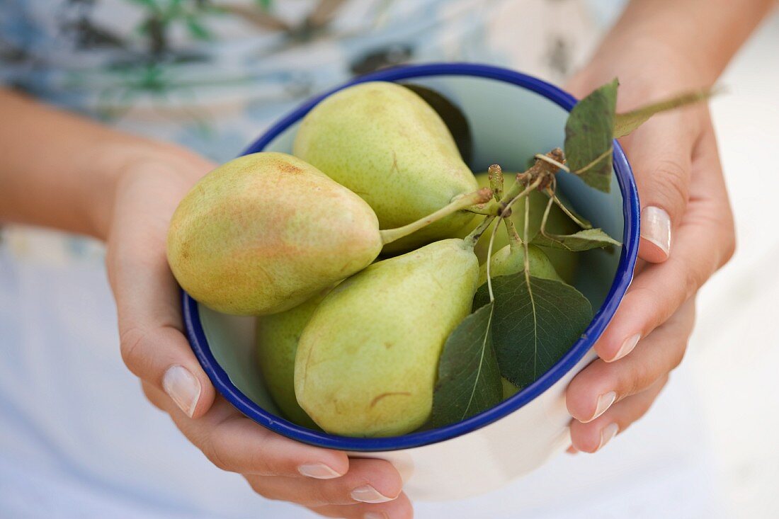 Hands holding a dish of pears