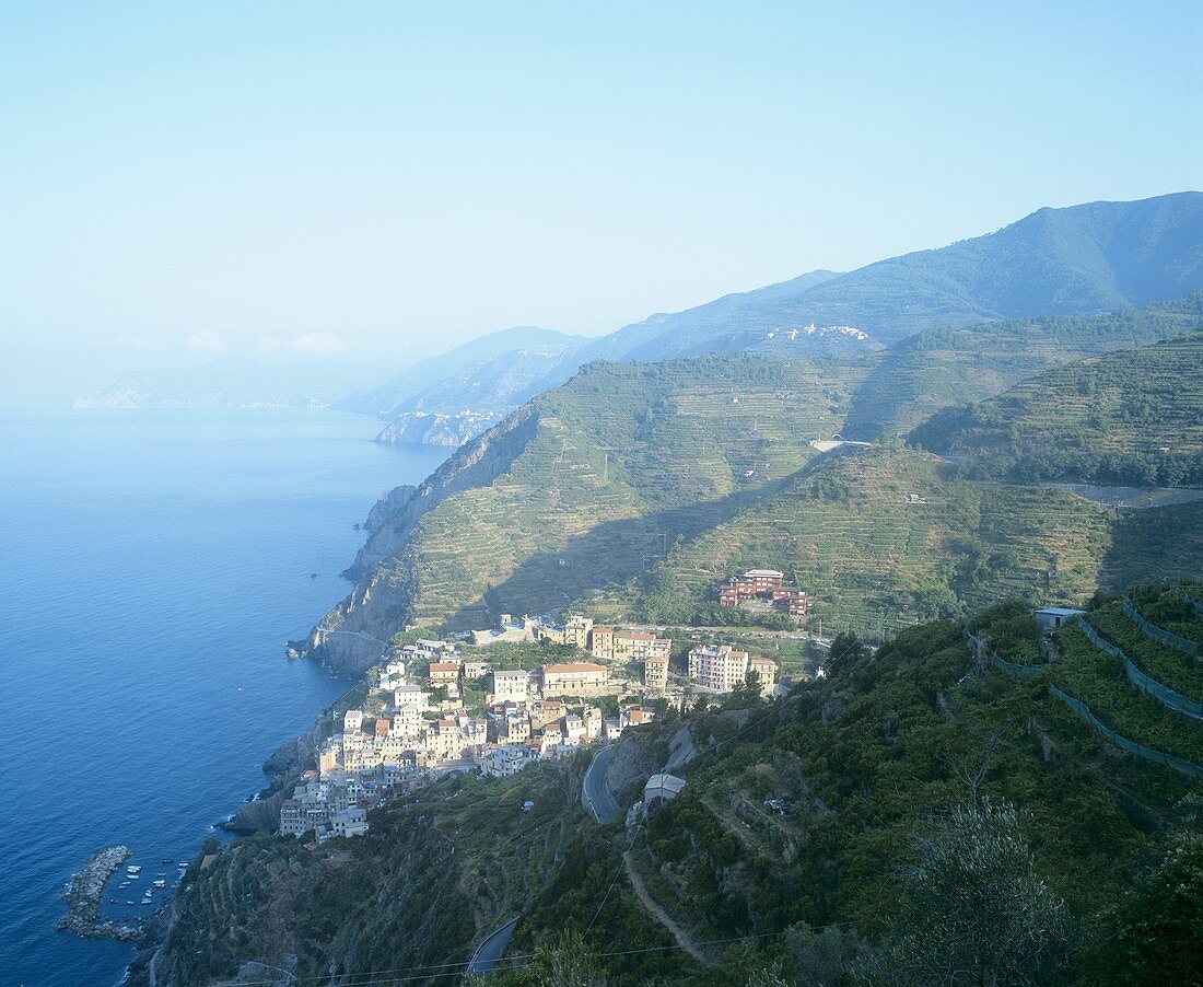 View over Riomaggiore, Liguria, Italy