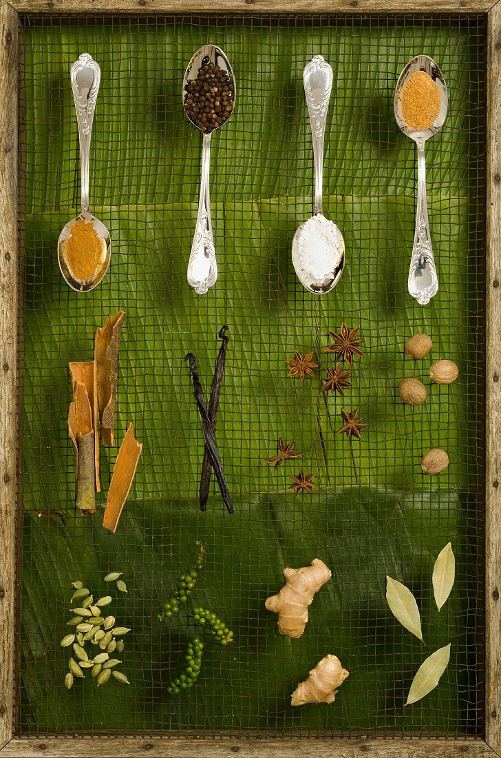 Various spices on a mesh frame