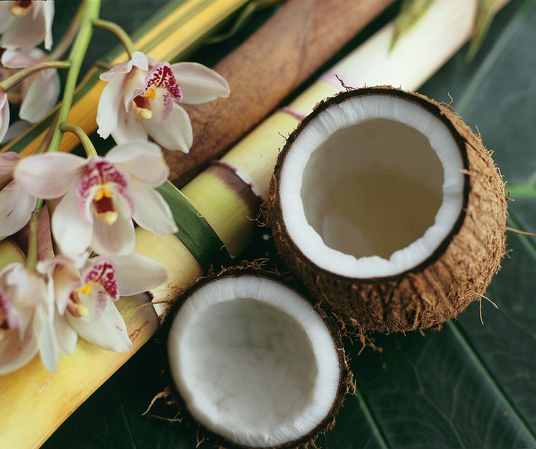 Geöffnete Kokosnuss mit Orchideenblüten und Bambusstangen