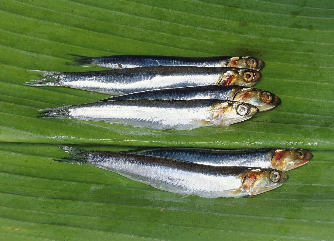 Sardines on banana leaf
