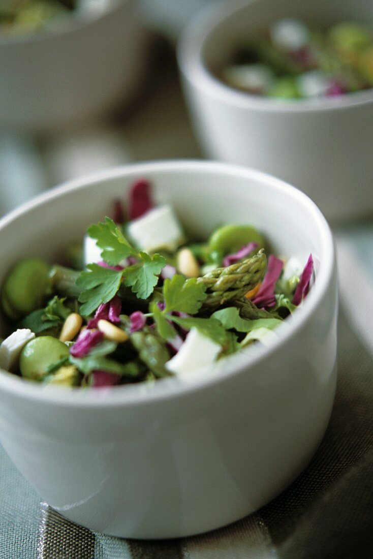 Green asparagus salad with radicchio, herbs, cheese, pine nuts