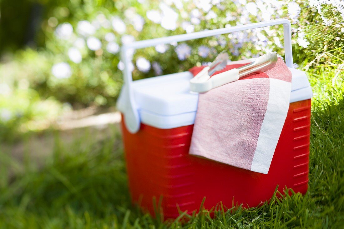 Kühlbox mit Grillzange im Garten