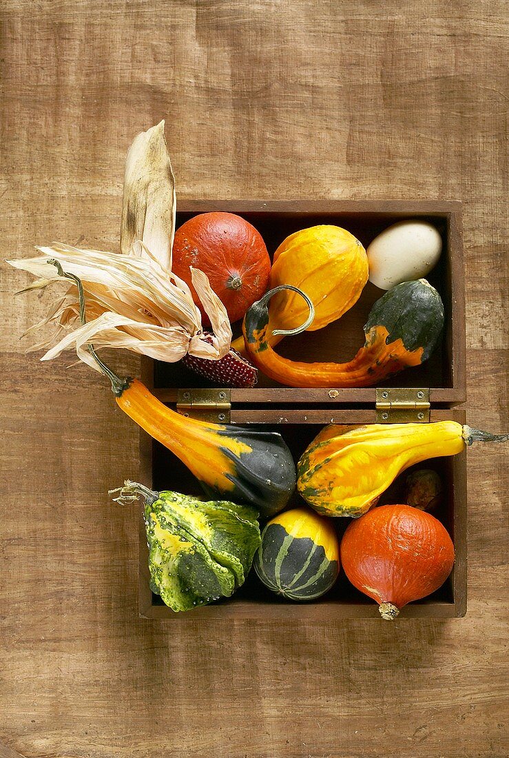 Edible squashes and ornamental gourds in a wooden box