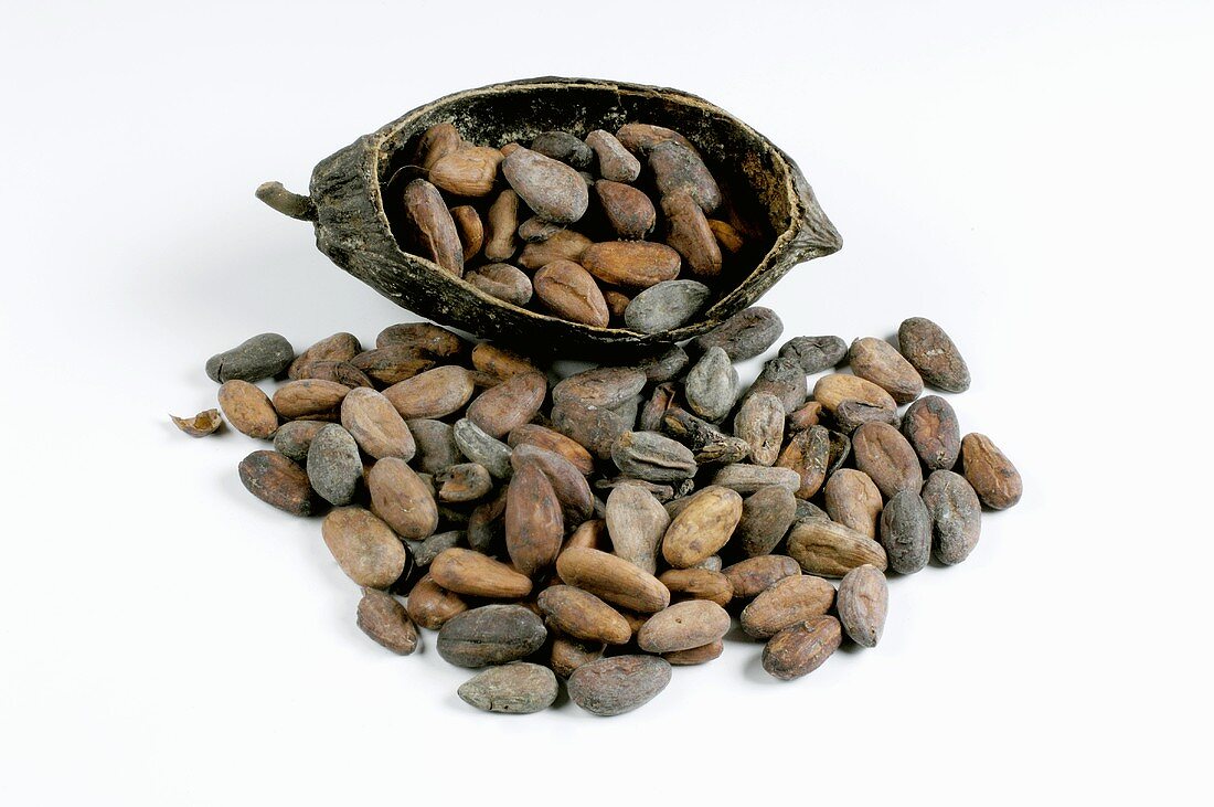 Kakaobohnen in halber Frucht-Schale