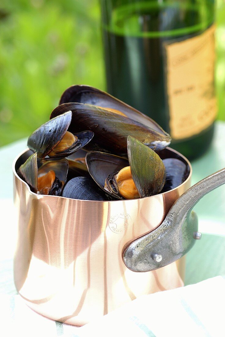 Mussels cooked in wine
