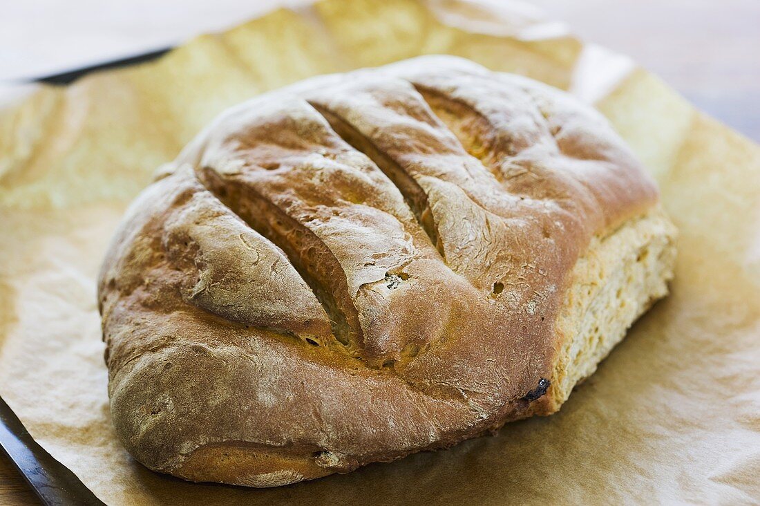 Vörtbröd (Weihnachtsbrot, Schweden)