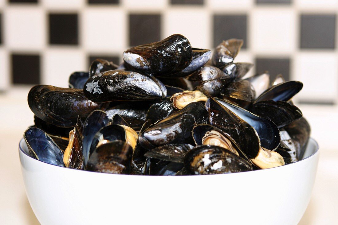 Cooked mussels in a bowl