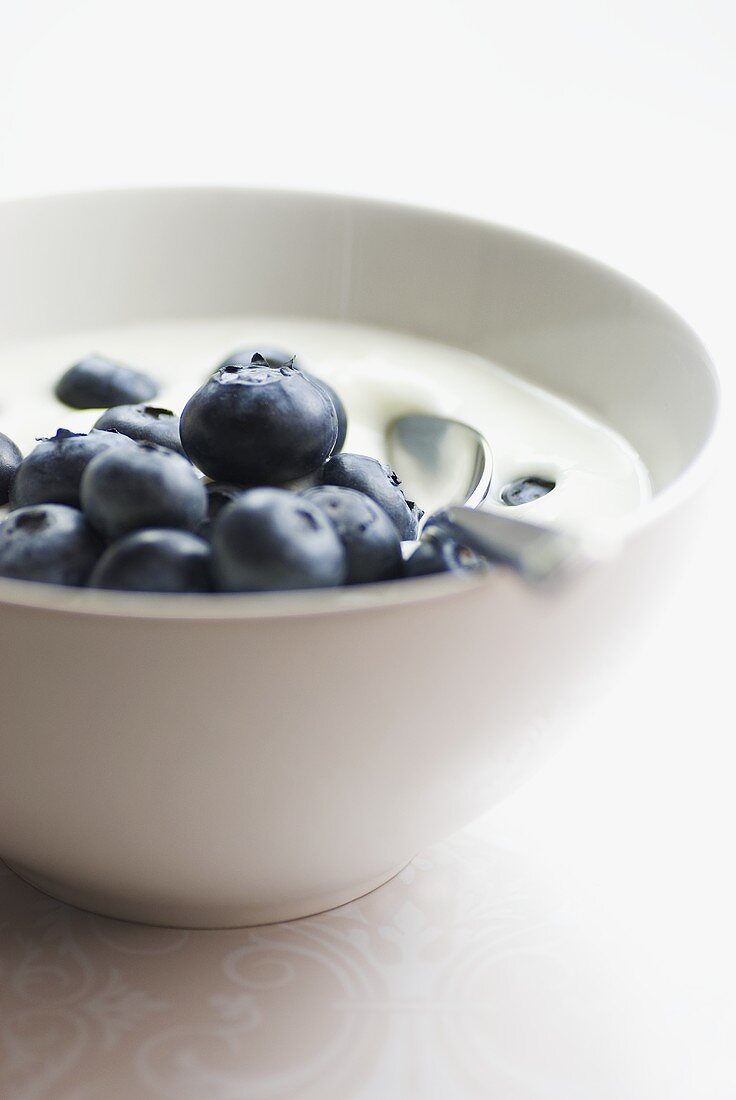 Yoghurt with fresh blueberries