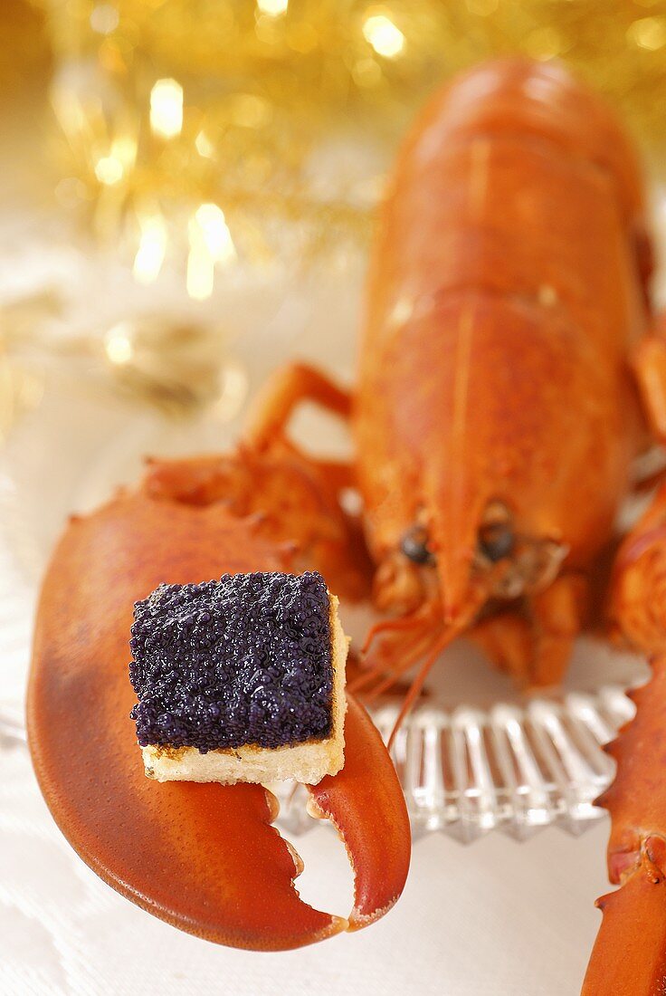 Caviar substitute on toast on lobster claw