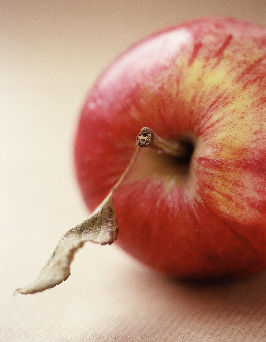 Ein roter Apfel mit vertrocknetem Blatt