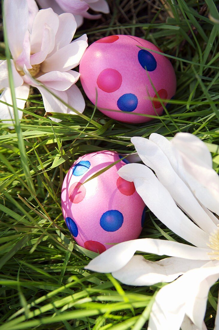 Two spotted pink Easter eggs in grass