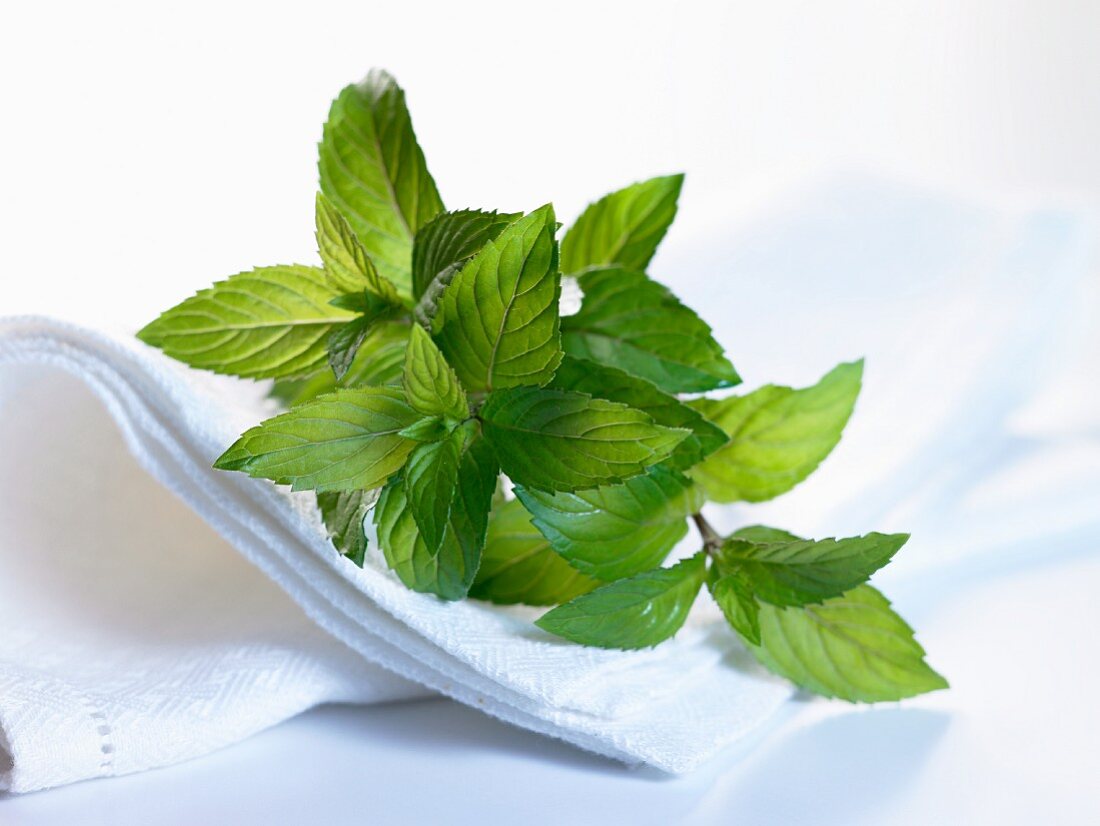 Fresh mint on a tea towel