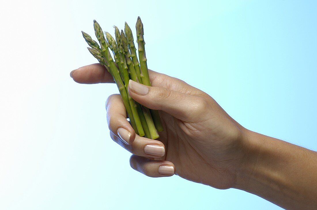 Woman's hand holding fresh green asparagus