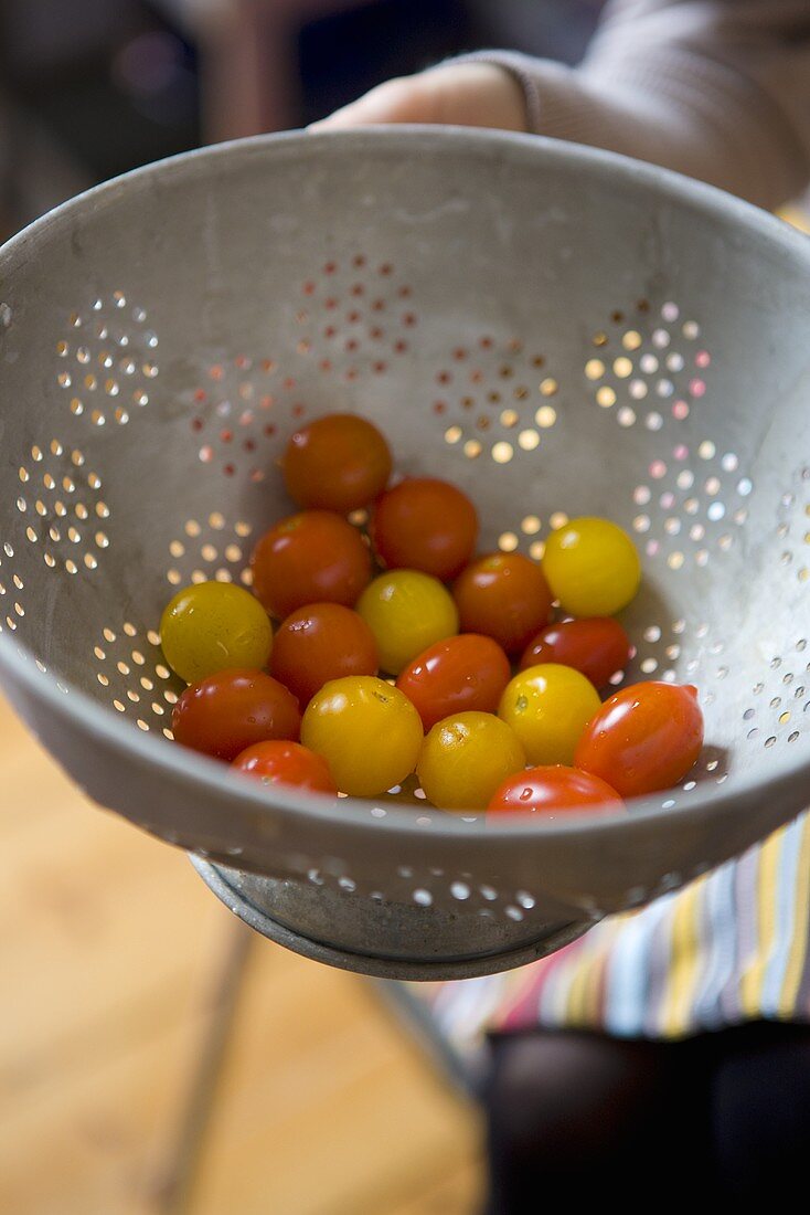 Hände halten Küchensieb mit roten und gelben Cocktailtomaten