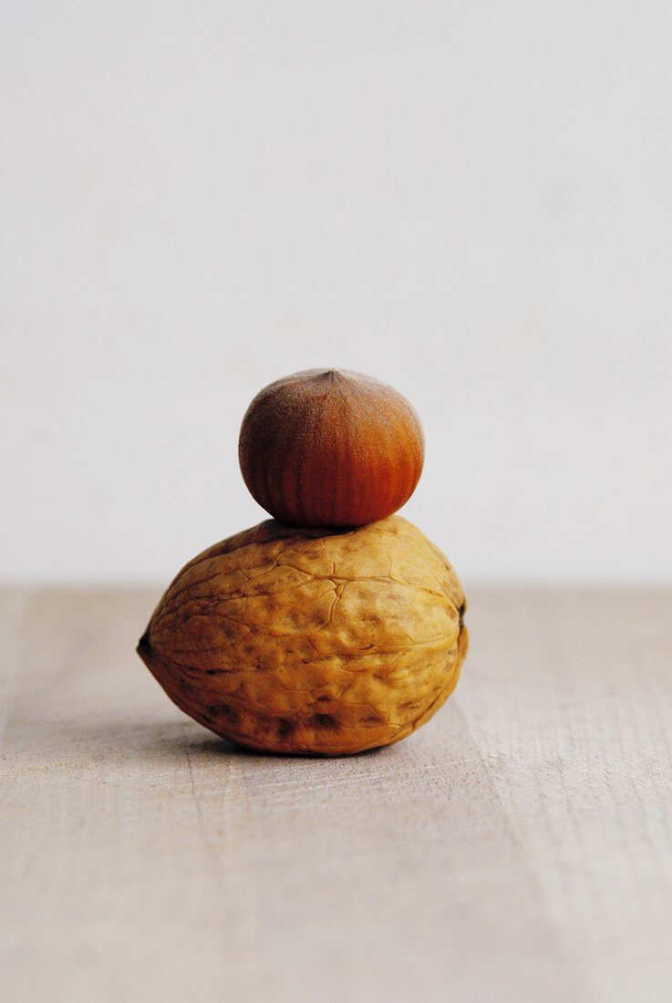 A hazelnut on a walnut