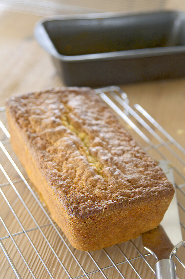 A spiced apple loaf on a cake rack