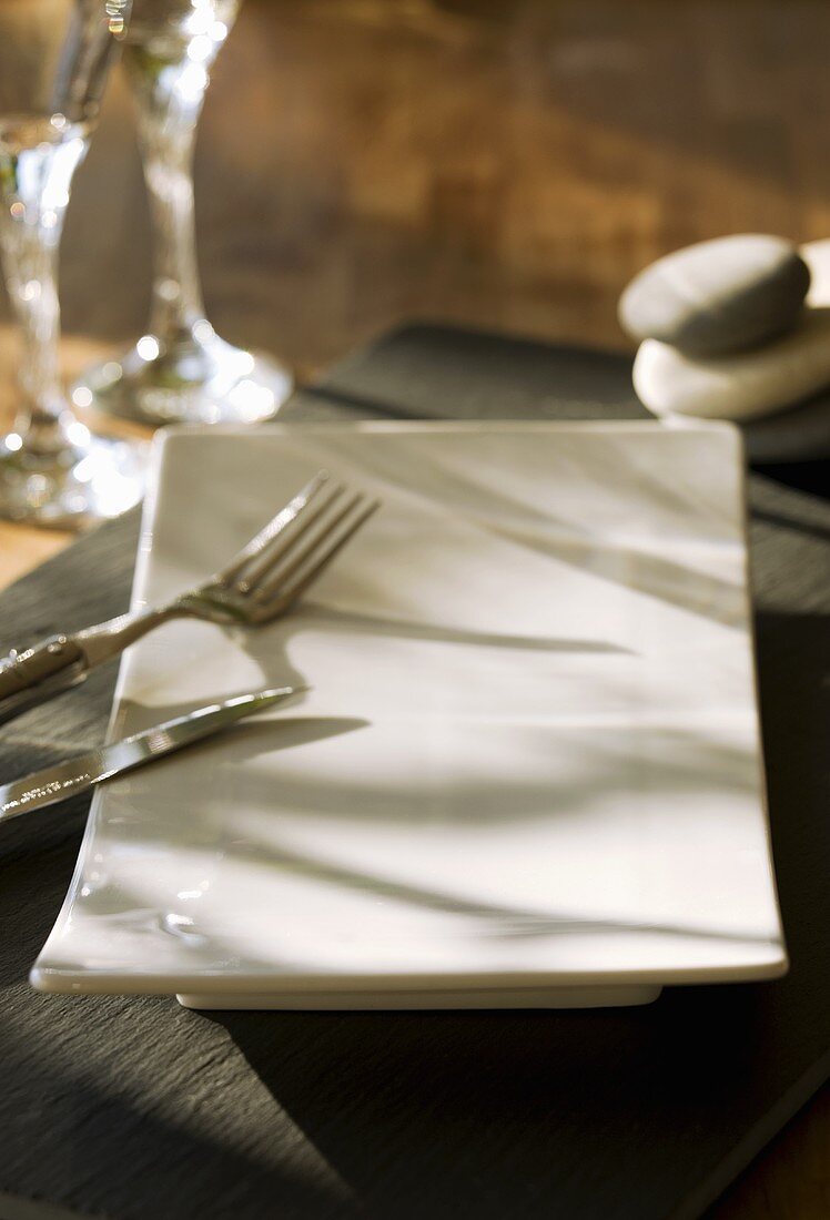 Rectangular plate with cutlery on a slate slab