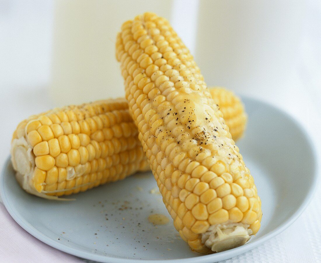 Two cooked cobs of corn with butter and pepper