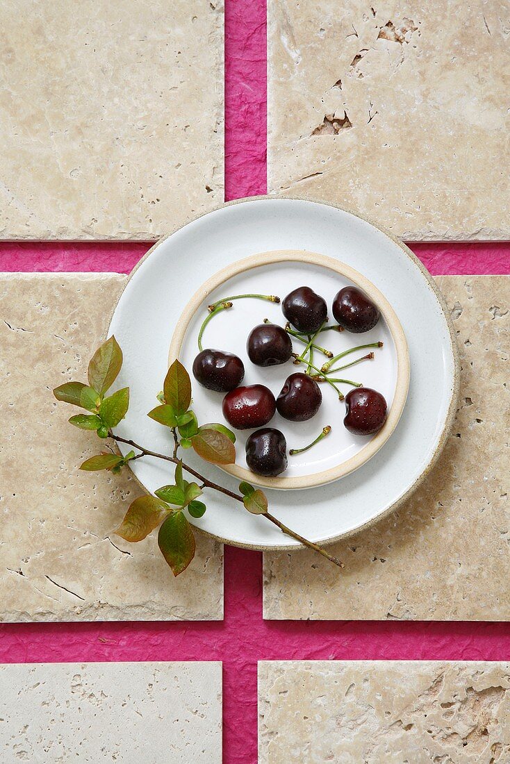 Fresh cherries with a small cherry branch on a plate