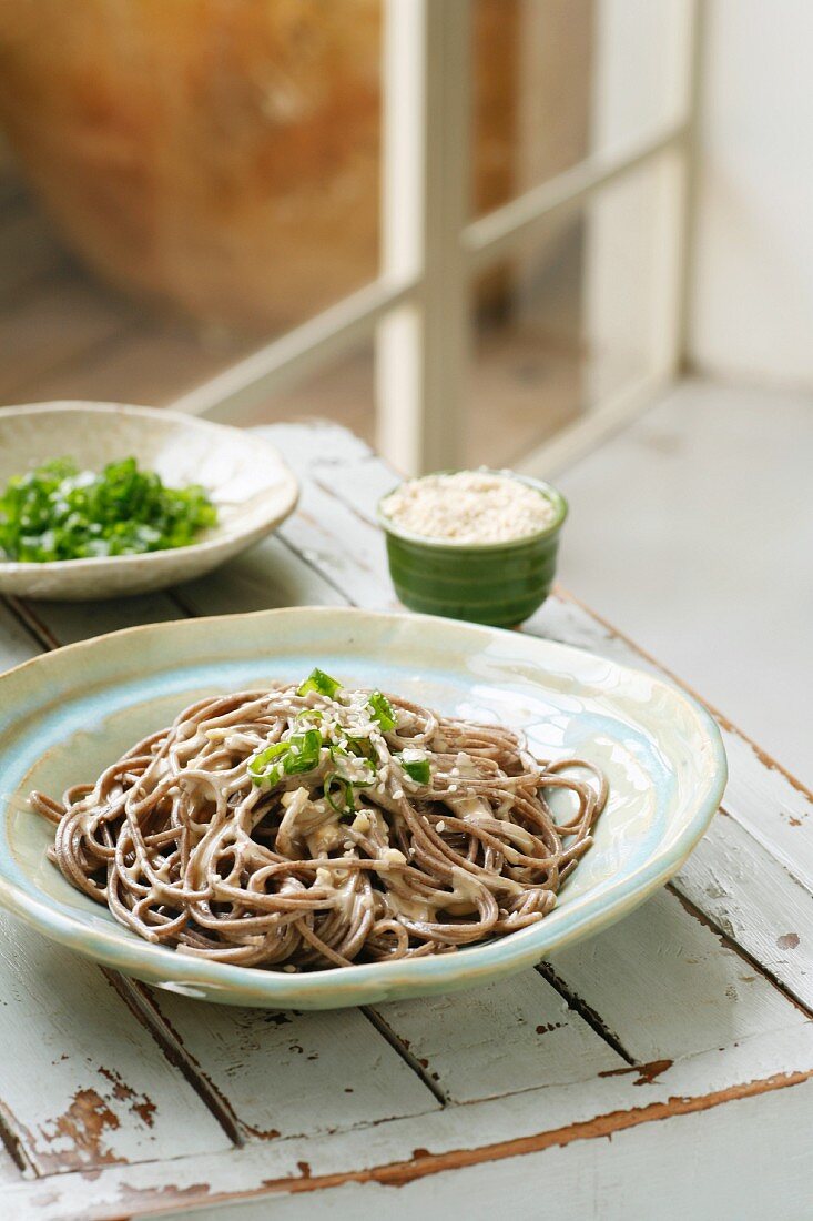 Soba noodles with cream sauce, spring onions & sesame seeds