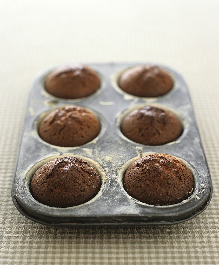 Sechs Schokomuffins in einer Muffinform