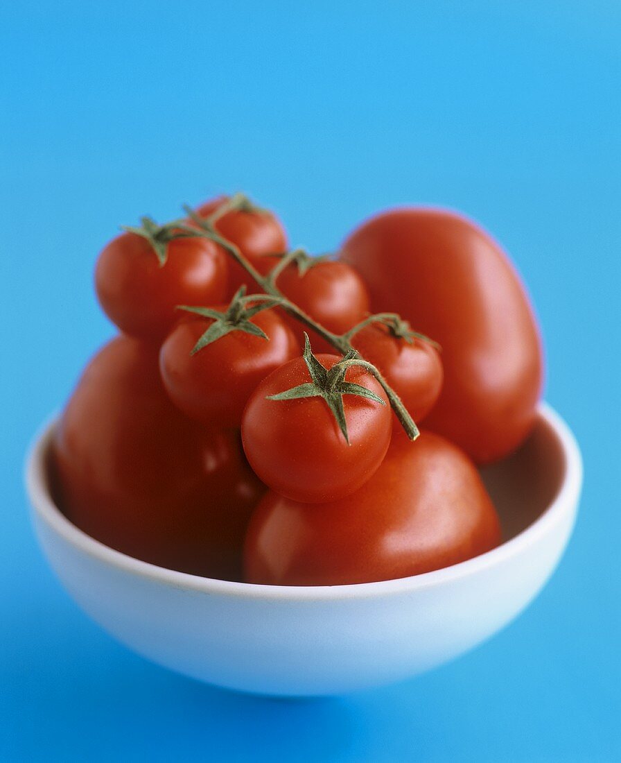 Plum and cocktail tomatoes in a bowl